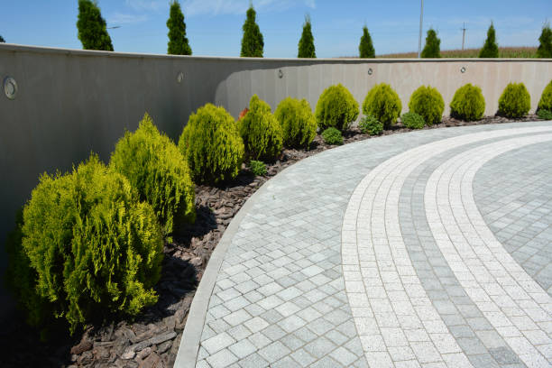 Best Local Driveway Pavers  in Edwardsvle, IL